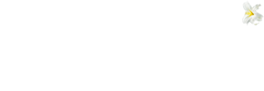 Sandrine André Institut de beauté – 78150 Le Chesnay